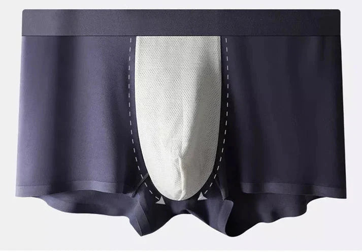 Men's Ice Silk Briefs Boxers (Pack of 3)